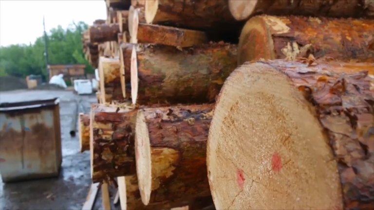 Древесину на сумму около 16 млн рублей пытались вывезти из Нижнеудинского района